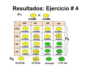 Resultados: Ejercicio # 4 