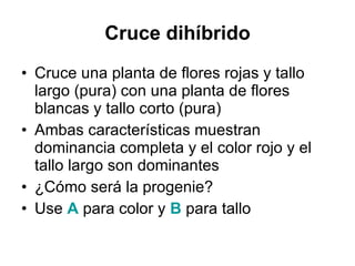 Cruce dihíbrido Cruce una planta de flores rojas y tallo largo (pura) con una planta de flores blancas y tallo corto (pura) Ambas características muestran dominancia completa y el color rojo y el tallo largo son dominantes ¿Cómo será la progenie? Use  A  para color y  B  para tallo 