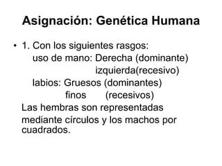 Asignación: Genética Humana 1. Con los siguientes rasgos:  uso de mano: Derecha (dominante) izquierda(recesivo) labios: Gruesos (dominantes) finos  (recesivos) Las hembras son representadas mediante círculos y los machos por cuadrados. 