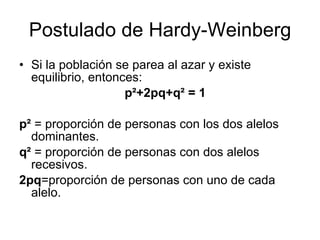 Postulado de Hardy-Weinberg Si la población se parea al azar y existe equilibrio, entonces: p ²+2pq+q² = 1 p ²  = proporción de personas con los dos alelos dominantes. q²  = proporción de personas con dos alelos  recesivos. 2pq =proporción de personas con uno de cada alelo. 