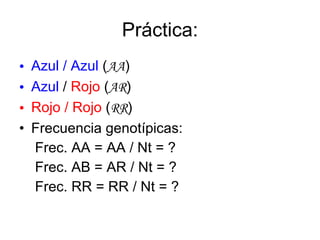 Práctica: Azul / Azul  ( AA ) Azul  /  Rojo  ( AR ) Rojo /   Rojo  ( RR ) Frecuencia genotípicas:  Frec. AA = AA / Nt = ? Frec. AB = AR / Nt = ? Frec. RR = RR / Nt = ? 