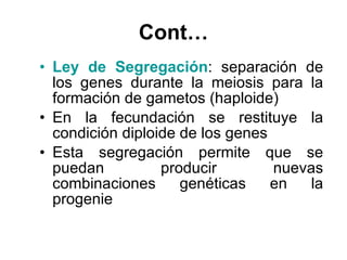 Cont… Ley de Segregación : separación de los genes durante la meiosis para la formación de gametos (haploide) En la fecundación se restituye la condición diploide de los genes Esta segregación permite que se puedan producir nuevas combinaciones genéticas en la progenie 