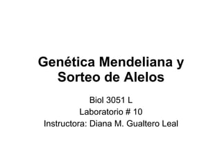 Genética Mendeliana y Sorteo de Alelos Biol 3051 L Laboratorio  # 10 Instructora: Diana M. Gualtero Leal 