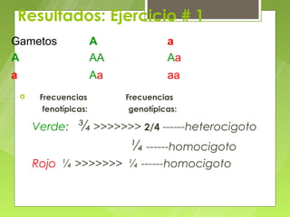 Resultados: Ejercicio # 1
Gametos                  A              a
A                        AA             Aa
a                        Aa             aa
        Frecuencias          Frecuencias
          fenotípicas:         genotípicas:

        Verde:     ¾ >>>>>>> 2/4 ------heterocigoto
                           ¼ ------homocigoto
        Rojo: ¼ >>>>>>> ¼ ------homocigoto
 