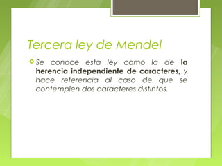 Tercera ley de Mendel
 Se conoce esta ley como la de la
 herencia independiente de caracteres, y
 hace referencia al caso de que se
 contemplen dos caracteres distintos.
 