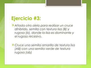 Ejercicio #3:
 Añada  otro alelo para realizar un cruce
 dihíbrido, semilla con textura lisa (B) y
 rugosa (b), donde la lisa es dominante y
 el rugoso recesivo.

 Cruceuna semilla amarilla de textura lisa
 (AB) con una semilla verde de textura
 rugosa (ab)
 