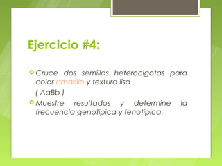 Ejercicio #4:

 Cruce   dos semillas heterocigotas para
  color amarillo y textura lisa
  ( AaBb )
 Muestre   resultados y determine la
  frecuencia genotípica y fenotípica.
 