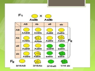 Resultados: Ejercicio # 4
 