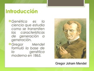 Introducción
  Genética    es    la
   ciencia que estudia
   como se transmiten
   las características
   de generación a
   generación.
  Gregor      Mendel
   formuló la base de
   la         genética
   moderna en 1865.

                          Gregor Joham Mendel
 