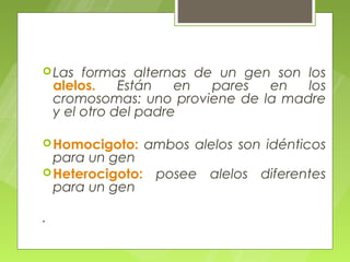  Las    formas alternas de un gen son los
    alelos.    Están   en  pares  en   los
    cromosomas: uno proviene de la madre
    y el otro del padre

 Homocigoto:   ambos alelos son idénticos
  para un gen
 Heterocigoto: posee alelos diferentes
  para un gen

.
 