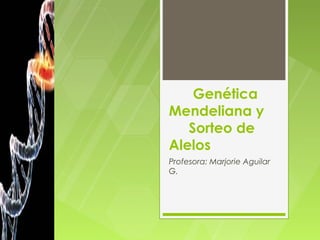 Genética
Mendeliana y
   Sorteo de
Alelos
Profesora: Marjorie Aguilar
G.
 