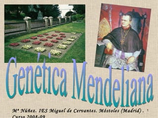 Genética Mendeliana Mª Núñez. IES Miguel de Cervantes. Móstoles (Madrid) . Curso 2008-09 