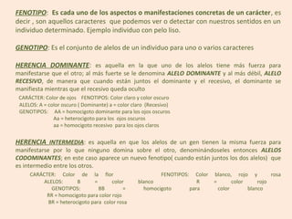 FENOTIPO: Es cada uno de los aspectos o manifestaciones concretas de un carácter, es
decir , son aquellos caracteres que podemos ver o detectar con nuestros sentidos en un
individuo determinado. Ejemplo individuo con pelo liso.

GENOTIPO: Es el conjunto de alelos de un individuo para uno o varios caracteres

HERENCIA DOMINANTE: es aquella en la que uno de los alelos tiene más fuerza para
manifestarse que el otro; al más fuerte se le denomina ALELO DOMINANTE y al más débil, ALELO
RECESIVO, de manera que cuando están juntos el dominante y el recesivo, el dominante se
manifiesta mientras que el recesivo queda oculto
 CARÁCTER: Color de ojos FENOTIPOS: Color claro y color oscuro
 ALELOS: A = color oscuro ( Dominante) a = color claro (Recesivo)
 GENOTIPOS: AA = homocigoto dominante para los ojos oscuros
               Aa = heterocigoto para los ojos oscuros
               aa = homocigoto recesivo para los ojos claros


HERENCIA INTERMEDIA: es aquella en que los alelos de un gen tienen la misma fuerza para
manifestarse por lo que ninguno domina sobre el otro, denominándoseles entonces ALELOS
CODOMINANTES; en este caso aparece un nuevo fenotipo( cuando están juntos los dos alelos) que
es intermedio entre los otros.
     CARÁCTER: Color de la flor                              FENOTIPOS:     Color   blanco, rojo y         rosa
          ALELOS:      B      =       color        blanco                    R      =       color     rojo
             GENOTIPOS:         BB         =         homocigoto           para        color       blanco
           RR = homocigoto para color rojo
           BR = heterocigoto para color rosa
 