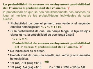 La probabilidad de sucesos no excluyentes= probabilidad
del 1er suceso x probabilidad del 2º suceso. “y”
la probabilidad de que se den simultáneamente dos sucesos es
igual al múltiplo de las probabilidades individuales de cada
suceso.
     Probabilidad de que el primero sea verde y el segundo
      amarillo homocigótico: ¼ x ¼ = 1/16.
     Si la probabilidad de que una pareja tenga un hijo de ojos
      claros es ½, la probabilidad de que tenga 2 será
        ½x½=¼
        Probabilidad de sucesos excluyentes= probabilidad
         del 1er suceso + probabilidad del 2º suceso. “o”
     No indica cuál es el orden.
     Probabilidad de que una semilla sea verde y otra amarilla
      homocigótica.
     1/4 (aa) .1/4 (AA) =1/16.
     1/4 (AA) .1/4 (aa) =1/16.     P = 1/16 + 1/16 = 2/16= 1/8
 