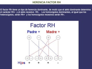 HERENCIA FACTOR RH
 