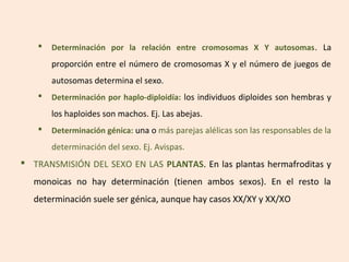    Determinación por la relación entre cromosomas X Y autosomas . La
       proporción entre el número de cromosomas X y el número de juegos de
       autosomas determina el sexo.
      Determinación por haplo-diploidía: los individuos diploides son hembras y
       los haploides son machos. Ej. Las abejas.
      Determinación génica: una o más parejas alélicas son las responsables de la
       determinación del sexo. Ej. Avispas.
 TRANSMISIÓN DEL SEXO EN LAS PLANTAS. En las plantas hermafroditas y
  monoicas no hay determinación (tienen ambos sexos). En el resto la
  determinación suele ser génica, aunque hay casos XX/XY y XX/XO
 