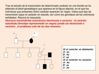 Tras el estudio de la transmisión de determinado carácter en una familia se ha
obtenido el árbol genealógico que aparece en la figura adjunta, en el que los
individuos que presentan dicho carácter aparecen en negro. Indica qué tipo de
transmisión sigue el carácter en estudio, así como los genotipos de los individuos
señalados. Razona la respuesta.
Herencia monohibrida autosómica dominante o recesiva : el carácter
estudiado (fenotipo representado en negro) puede ser dominante o
recesivo , el problema sale de las dos maneras.

       A                  B




                                   C

                                                     Si el carácter es dominante:
                                                     A: aa
                                                     B: Aa
                                                     C: aa
                                                     Si el carácter es recesivo:
                                                     A: Aa
                                                     B: aa
                                                     C: Aa
 