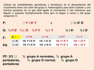 Calcula las probabilidades genotípicas y fenotípicas de la descendencia del
cruzamiento entre una varón del grupo A, heterocigótico para dicho carácter y una
hembra portadora de un gen letal ligado al cromosoma X (los individuos que
lleguen a expresar fenotípicamente dicho gen no llegan a nacer) y del grupo
sanguíneo O.


P:               ♂ IA i X L Y                 x                   ♀ i i XL Xl

G: ¼ IA XL ¼ i XL ¼ IA Y                ¼i Y                 ½ i XL       ½ i Xl

F:     G♀♂          ¼ I A XL        ¼ i XL          ¼ IA Y            ¼i Y
       ½ i XL    1/8 IA i XL XL   1/8 i i XL XL   1/8 IA i XL Y     1/8 i i XL Y
PG      ½ i Xl   1/8 IA i XL Xl   1/8 i i XL Xl   1/8 IA i Xl Y     1/8 i i Xl Y




PF: 2/3 ♀:  ¼ grupo A normales, ¼ grupo A
portadoras,   ¼ grupo O normal,   ¼ grupo O
portadoras
 