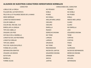ALGUNOS DE NUESTROS CARACTERES HEREDITARIOS NORMALES
CARACTER VARIACIONES DEL CARACTER
LOBULO DE LA OREJA NO PEGADO PEGADO
PULGAR DEL AUTOSTOPISTA DOBLA NO DOBLA
PELO EN LA 2ª FALANGE DEDOS DE LA MANO POSEE NO POSEE
DEDO MEÑIQUE NO DOBLA DOBLA
LONGITUD DEDOS MANO ANULAR MÁS LARGO INDICE MÁS LARGO
COLOR CABELLO OSCURO CLARO
COLOR DEL IRIS DEL OJO OSCURO CLARO
ENROLLAR LA LENGUA ENROLLA NO ENROLLA
TIPO DE CABELLO RIZADO LISO
CRUZAR LOS PIES DERECHO ENCIMA IZQUIERDO ENCIMA
HOYUELO EN LA BARBILLA NO TIENE TIENE
LONGITUD DE LAS PESTAÑAS LARGAS CORTAS
LONGITUD OREJAS LARGAS CORTAS
TIPO DE LABIOS GRUESOS FINOS
PICO DE VIUDA EN ELPELO NO TIENE TIENE
FORMA DE LA CARA REDONDEADA ALARGADA
SEPARACIÓN DIENTES INCISIVOS JUNTOS INCISIVOS SEPARADOS
CRUZAR LOS DEDOS IZQUIERDO ENCIMA DERECHO ENCIMA
ESTATURA GRANDE PEQUEÑA
BARBILLA ANCHA AFILADA
FORMA CEJAS JUNTAS SEPARADAS
 