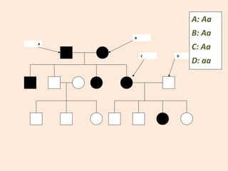 A
B
C D
A: Aa
B: Aa
C: Aa
D: aa
 