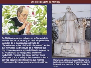 LAS EXPERIENCIAS DE MENDEL
 