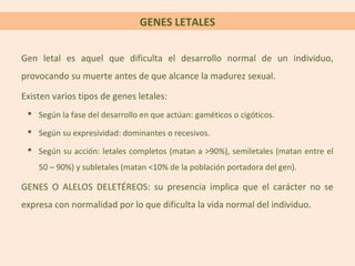 GENES LETALES
Gen letal es aquel que dificulta el desarrollo normal de un individuo,
provocando su muerte antes de que alcance la madurez sexual.
Existen varios tipos de genes letales:
 Según la fase del desarrollo en que actúan: gaméticos o cigóticos.
 Según su expresividad: dominantes o recesivos.
 Según su acción: letales completos (matan a >90%), semiletales (matan entre el
50 – 90%) y subletales (matan <10% de la población portadora del gen).
GENES O ALELOS DELETÉREOS: su presencia implica que el carácter no se
expresa con normalidad por lo que dificulta la vida normal del individuo.
 