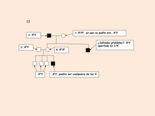 A: Xh
Y
C: XH
Xh
, ya que su padre era Xh
Y
B: XH
Xh
¿individuo problema?: Xh
Y
apartado b) 1/4D: XH
Y
XH
Y Xh
Y, podría ser cualquiera de los 4
c)
 