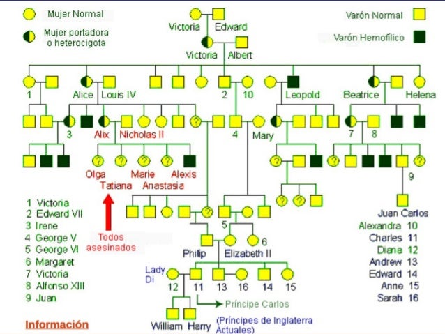 Genoprox Genoprox