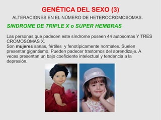 GENÉTICA DEL SEXO (3)
ALTERACIONES EN EL NÚMERO DE HETEROCROMOSOMAS.
SINDROME DE TRIPLE X o SUPER HEMBRAS
Las personas que padecen este síndrome poseen 44 autosomas Y TRES
CROMOSOMAS X.
Son mujeres sanas, fértiles y fenotípicamente normales. Suelen
presentar gigantismo. Pueden padecer trastornos del aprendizaje. A
veces presentan un bajo coeficiente intelectual y tendencia a la
depresión.
 