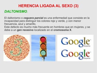 HERENCIA LIGADA AL SEXO (3)
DALTONISMO.
El daltonismo o ceguera parcial es una enfermedad que consiste en la
incapacidad para distinguir los colores rojo y verde, y con menor
frecuencia, azul y amarillo.
Este defecto es mucho más frecuente en hombres que en mujeres, y se
debe a un gen recesivo localizado en el cromosoma X.
 