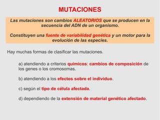 MUTACIONES
Las mutaciones son cambios ALEATORIOS que se producen en la
secuencia del ADN de un organismo.
Constituyen una fuente de variabilidad genética y un motor para la
evolución de las especies.
Hay muchas formas de clasificar las mutaciones.
a) atendiendo a criterios químicos: cambios de composición de
los genes o los cromosomas.
b) atendiendo a los efectos sobre el individuo.
c) según el tipo de célula afectada.
d) dependiendo de la extensión de material genético afectado.
 