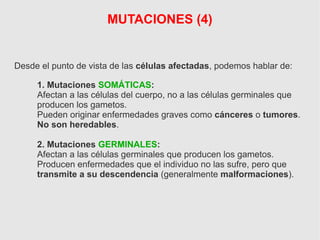 Desde el punto de vista de las células afectadas, podemos hablar de:
1. Mutaciones SOMÁTICAS:
Afectan a las células del cuerpo, no a las células germinales que
producen los gametos.
Pueden originar enfermedades graves como cánceres o tumores.
No son heredables.
2. Mutaciones GERMINALES:
Afectan a las células germinales que producen los gametos.
Producen enfermedades que el individuo no las sufre, pero que
transmite a su descendencia (generalmente malformaciones).
MUTACIONES (4)
 