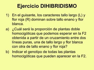 Ejercicio DIHIBRIDISMO
1) En el guisante, los caracteres tallo largo (L) y
flor roja (R) dominan sobre tallo enano y flor
blanca.
a) ¿Cuál será la proporción de plantas doble
homocigóticas que podemos esperar en la F2
obtenida a partir de un cruzamiento entre dos
líneas puras, una de tallo largo y flor blanca
con otra de tallo enano y flor roja?
b) Indicar el genotipo de todas las plantas
homocigóticas que pueden aparecer en la F2.
 