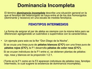 El término dominancia incompleta describe una situación general en la
que el fenotipo del heterocigoto se haya entre el de los dos homocigotos
(dominante y recesivo) en una escala de medida fenotípica.
FENOTIPOS INTERMEDIOSFENOTIPOS INTERMEDIOS
La forma de asignar el par de alelos es siempre con la misma letra pero se
diferencian agregándole un subíndice o superíndice con la característica.
• Un ejemplo para esto es la flor “Don Diego de la Noche”.
Si se cruza una línea pura de pétalos blancos (CW
CW
) con una línea pura de
pétalos rojos (CR
CR
), la F1 desarrolla pétalos de color rosa (CW
CR
).
Si se cruzan individuos de la F1 entre sí, se obtienen plantas de pétalos:
rojo, rosa y blancos en la proporción 1:2:1.
(Tanto en la F1 como en la F2 aparecen individuos de pétalos rosa, fenotipo
intermedio, lo cual sugiere la existencia de dominancia incompleta).
Dominancia Incompleta
 