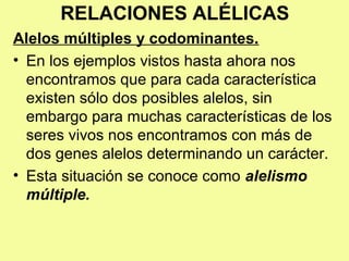 RELACIONES ALÉLICAS
Alelos múltiples y codominantes.
• En los ejemplos vistos hasta ahora nos
encontramos que para cada característica
existen sólo dos posibles alelos, sin
embargo para muchas características de los
seres vivos nos encontramos con más de
dos genes alelos determinando un carácter.
• Esta situación se conoce como alelismo
múltiple.
 