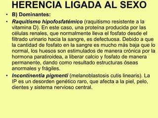 • B) Dominantes:
• Raquitismo hipofosfatémico (raquitismo resistente a la
vitamina D). En este caso, una proteína producida por las
células renales, que normalmente lleva el fosfato desde el
filtrado urinario hacia la sangre, es defectuosa. Debido a que
la cantidad de fosfato en la sangre es mucho más baja que lo
normal, los huesos son estimulados de manera crónica por la
hormona paratiroidea, a liberar calcio y fosfato de manera
permanente, dando como resultado estructuras óseas
anormales y frágiles.
• Incontinentia pigmenti (melanoblastosis cutis linearis). La
IP es un desorden genético raro, que afecta a la piel, pelo,
dientes y sistema nervioso central.
HERENCIA LIGADA AL SEXO
 