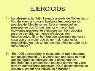 4) La talasemia, también llamada anemia de Cooley es un
tipo de anemia humana bastante frecuente en los
pueblos del Mediterráneo. Esta enfermedad se
presenta en dos formas: menor y mayor. Los
individuos gravemente afectados son homocigotos
para un gen (tt), los menos afectados son
heterocigotos. Si un hombre con talasemia menor se
casa con una mujer que es normal, ¿cuál es la
probabilidad de que tengan un hijo o hija portado de la
enfermedad?
5) En 1905 Lucien Cuénot descubrió un ratón mutante
con pelaje amarillo. Al cruzarlo con una cepa normal
(pelaje agutí), la sobrevida de la descendencia
dependía de la presenciade un alelo dominante y era
letal en homocigotos recesivos ¿Qué descendencia se
espera al cruzar dos individuos amarillos?
EJERCICIOS
 