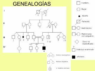 GENEALOGÍAS
 