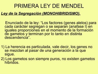 PRIMERA LEY DE MENDEL
Ley de la Segregación (MONOHIBRIDISMO).
Enunciado de la ley: “Los factores (genes alelos) para
cada carácter segregan o se separan (anafase I) en
iguales proporciones en el momento de la formación
de gametos y terminan por lo tanto en distinta
descendencia”.
1) La herencia es particulada, vale decir, los genes no
se mezclan al pasar de una generación a la que
sigue.
2) Los gametos son siempre puros, no existen gametos
híbridos.
 