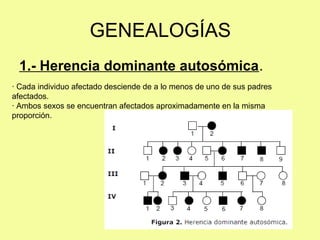 1.- Herencia dominante autosómica.
· Cada individuo afectado desciende de a lo menos de uno de sus padres
afectados.
· Ambos sexos se encuentran afectados aproximadamente en la misma
proporción.
GENEALOGÍAS
 