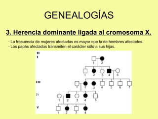 3. Herencia dominante ligada al cromosoma X.
GENEALOGÍAS
· La frecuencia de mujeres afectadas es mayor que la de hombres afectados.
· Los papás afectados transmiten el carácter sólo a sus hijas.
 