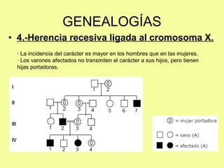 • 4.-Herencia recesiva ligada al cromosoma X.
GENEALOGÍAS
· La incidencia del carácter es mayor en los hombres que en las mujeres.
· Los varones afectados no transmiten el carácter a sus hijos, pero tienen
hijas portadoras.
 