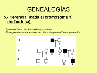 5.- Herencia ligada al cromosoma Y
(holándrica).
GENEALOGÍAS
· Aparece sólo en los descendientes varones.
· El rasgo se transmite en forma continua de generación en generación.
 
