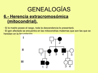 6.- Herencia extracromosómica
(mitocondrial).
GENEALOGÍAS
· Si la madre posee el rasgo, toda la descendencia lo presentará.
· El gen afectado se encuentra en las mitocondrias maternas que son las que se
heredan en la fecundación.
 