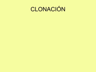 CLONACIÓN
 