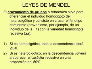 LEYES DE MENDEL
El cruzamiento de prueba o retrocruza sirve para
diferenciar el individuo homocigoto del
heterocigótico y consiste en cruzar el fenotipo
dominante (proveniente, por ejemplo, de un
individuo de la F1) con la variedad homocigota
recesiva (aa):
1) Si es homocigótico, toda la descendencia será
igual.
2) Si es heterocigótico, en la descendencia volverá
a aparecer el carácter recesivo en una
proporción del 50%.
 