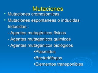 Mutaciones
 Mutaciones cromosomicas
 Mutaciones espontaneas o inducidas
  Inducidas :
  - Agentes mutagénicos físicos
  - Agentes mutagénicos quimicos
  - Agentes mutagénicos biológicos
              Plasmidos
              Bacteriófagos
              Elementos transponibles
 