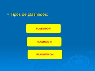  Tipos de plasmidos:



              PLASMIDO F




               PLASMIDO R




              PLASMIDO Col
 