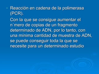 -   Reacción en cadena de la polimerasa
    (PCR).
    Con la que se consigue aumentar el
    número de copias de un fragmento
    determinado de ADN, por lo tanto, con
    una mínima cantidad de muestra de ADN,
    se puede conseguir toda la que se
    necesite para un determinado estudio
 