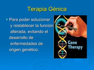 Terapia Génica
 Para poder solucionar
 y restablecer la función
 alterada, evitando el
 desarrollo de
 enfermedades de
 origen genético.
 